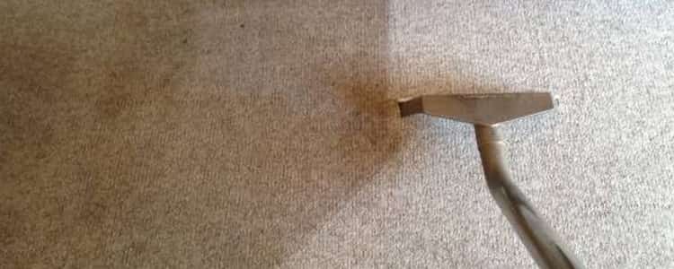 Best End of Lease Carpet Cleaning Norwood