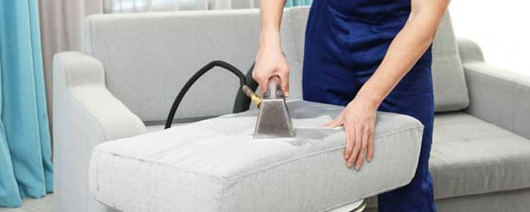 Best Upholstery Cleaning Norwood