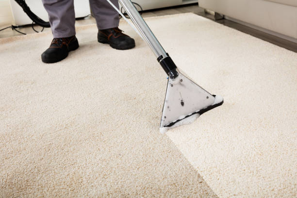 Professional Cleaning Services Norwood